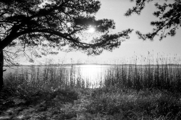 Um Gottes Willen I by kls0e from the album nördliches Boddenufer & Schaabe on jasmund.org