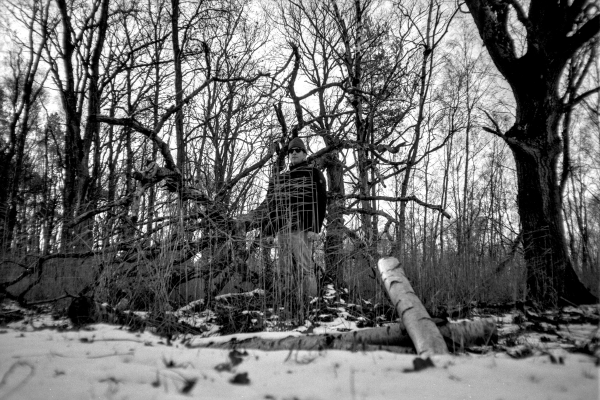 der Guardian by kls0e from the album nördliches Boddenufer & Schaabe on jasmund.org