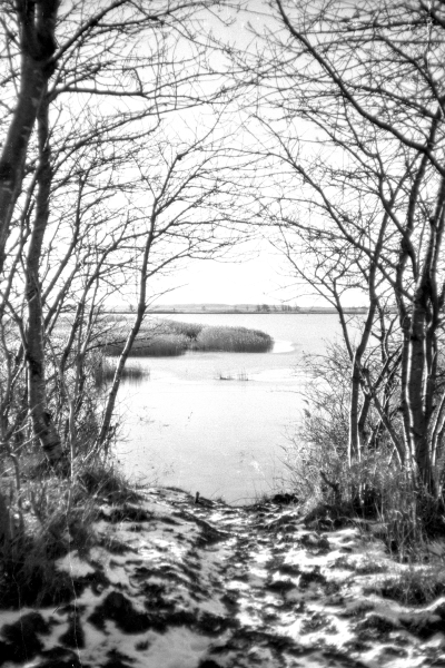 ja, so siehts da aus by kls0e from the album nördliches Boddenufer & Schaabe on jasmund.org