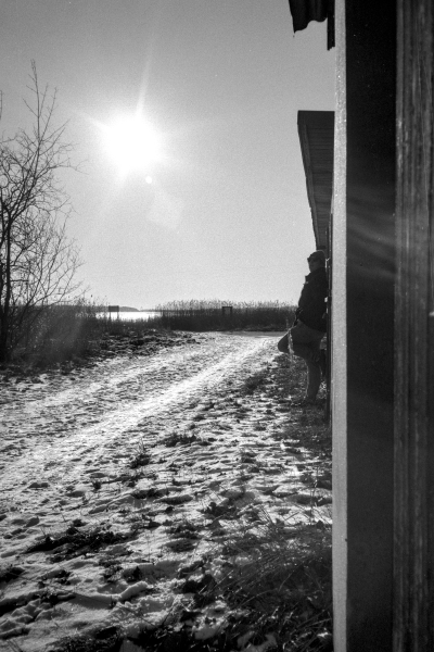 normalerweise schon by kls0e from the album nördliches Boddenufer & Schaabe on jasmund.org