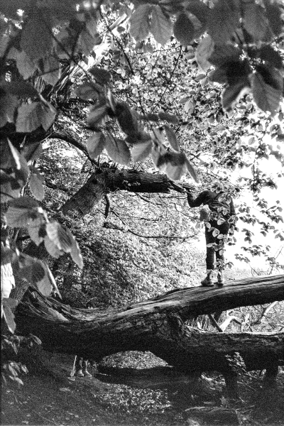 Semperwald by kls0e from the album südlich der Feuersteinfelder on jasmund.org