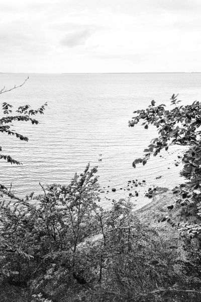 Semperwald by kls0e from the album südlich der Feuersteinfelder on jasmund.org
