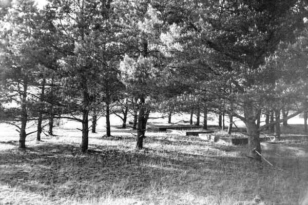 südlich der Feuersteinfelder by kls0e from the album südlich der Feuersteinfelder on jasmund.org