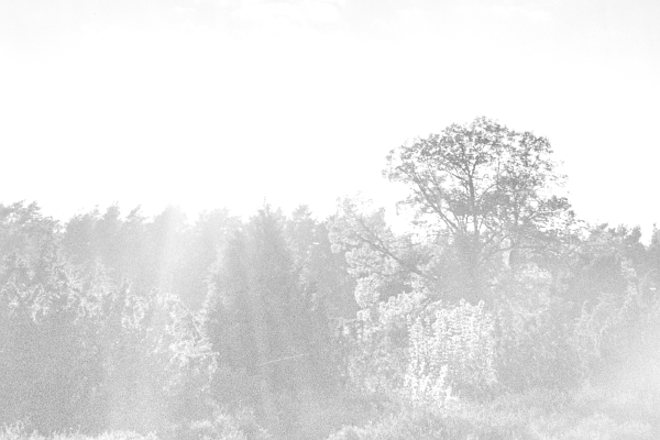 südlich der Feuersteinfelder by kls0e from the album südlich der Feuersteinfelder on jasmund.org
