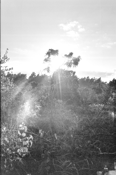 südlich der Feuersteinfelder by kls0e from the album südlich der Feuersteinfelder on jasmund.org