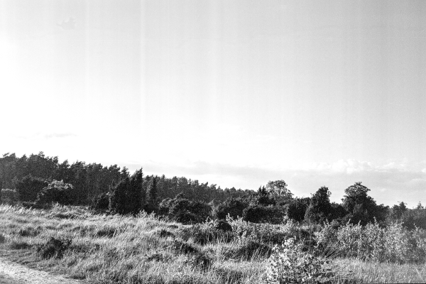 südlich der Feuersteinfelder by kls0e from the album südlich der Feuersteinfelder on jasmund.org