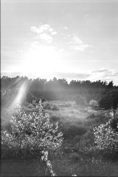 südlich der Feuersteinfelder by kls0e from the album südlich der Feuersteinfelder on jasmund.org