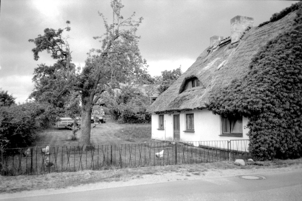 Südlich von Putbus by kls0e from the album südlich von Putbus on jasmund.org