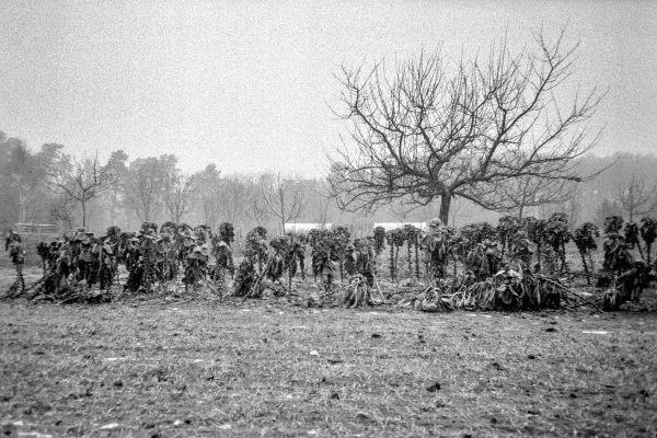 Acapulco by kls0e from the album westlich von Altglobsow on jasmund.org