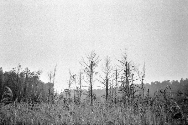 Sinfonie - Overture by kls0e from the album westlich von Altglobsow on jasmund.org