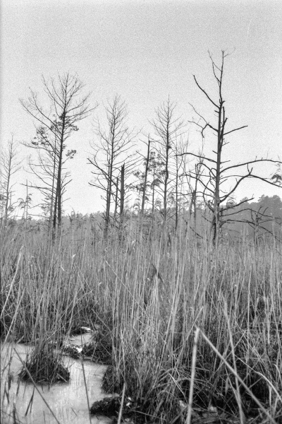 Sinfonie - das vereiste Moor by kls0e from the album westlich von Altglobsow on jasmund.org