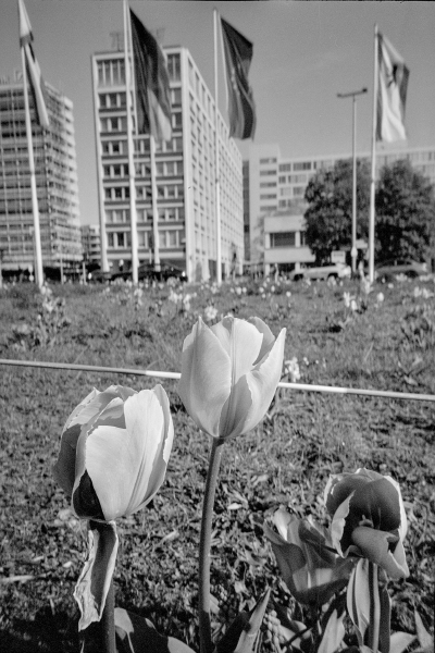 ERP - Ensemble by kls0e from the album westlich von Friedrichshain on jasmund.org