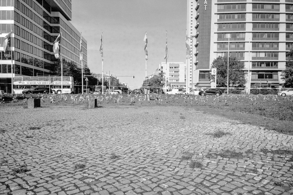 ERP - Solitude by kls0e from the album westlich von Friedrichshain on jasmund.org