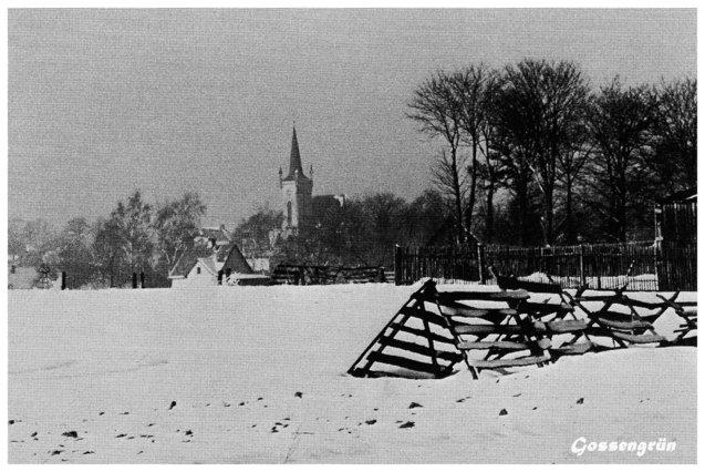 640x480/Gossengruen_im_Winter_web.jpg
