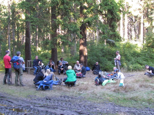 640x480/IMG_1987_wism5.JPG