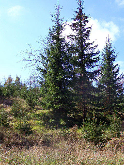 640x480/100_3174_web.jpg