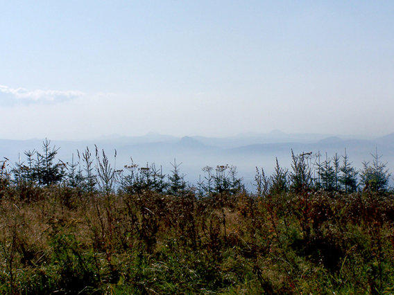 640x480/100_3180_web.jpg