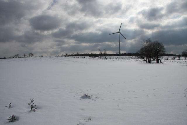 640x480/IMG_3854.JPG