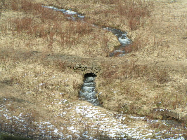 640x480/IMG_3896.JPG