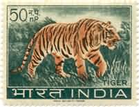Wildlife Tiger 50 NP