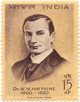 Dr Haffkine 15 NP