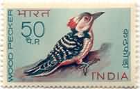 Himalayan Woodpecker 50 Paise