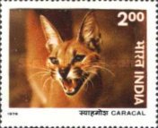 Indian Wildlife 2 Rupees