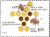 Apis mellifera — 1.00R