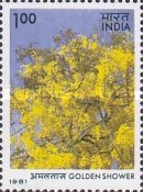 Bauhinia variegata — 1.00R