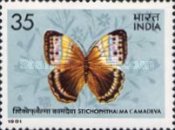 Stichophthalma camadeva — 35P