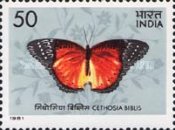 Cethosia biblis — 50P