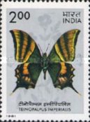 Teinopalpus imperialis — 2.00R