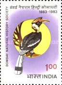 Buceros bicornis — 1.00R