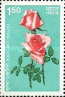 Mrinalini (Rose) — 1.50R