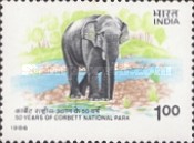 Elephas maximus — 1.00R