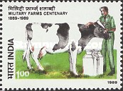 Bos taurus — 1.00R