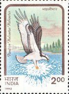 Pandion haliaetus haliaetus — 2.00R