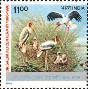 Dr. Salim Ali — 8.00R