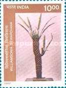 Williamsonia sewardiana (Model) — 10.00R