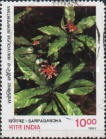 Rauvolfia serpentina — 10.00R