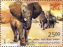 Elephas maximus — 5.00R