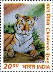 Children's Day - Tigers — 20.00R