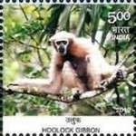 Fauna - Endemic Species Of Indian Biodiversity Hotspots — 5.00R