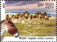 Wild Ass of Ladakh & Kutch — 5.00R
