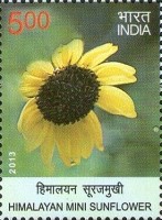 Flora - Wild Flowers of India — 5.00R