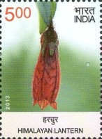 Flora - Wild Flowers of India — 5.00R
