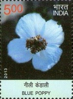 Flora - Wild Flowers of India — 5.00R