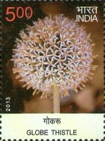 Flora - Wild Flowers of India — 5.00R
