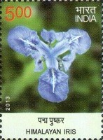 Flora - Wild Flowers of India — 5.00R