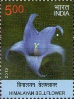 Flora - Wild Flowers of India — 5.00R